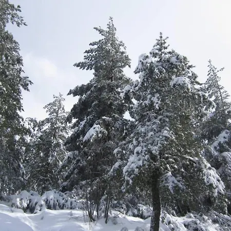 Alpehytte Casa Oeste