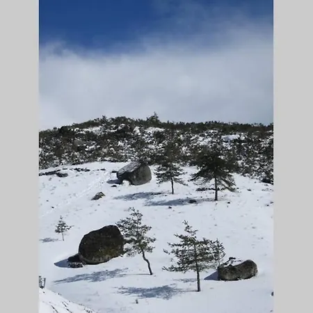 Casa Oeste * Sabugueiro (Guarda)