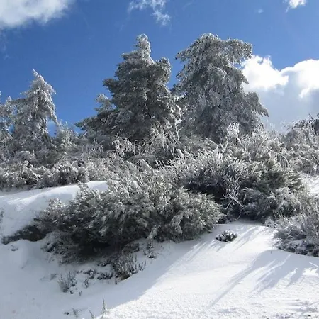 Casa Oeste * Sabugueiro (Guarda)