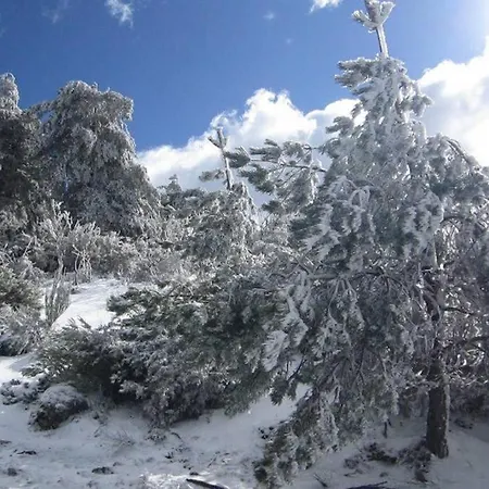 Casa Oeste * Sabugueiro (Guarda)