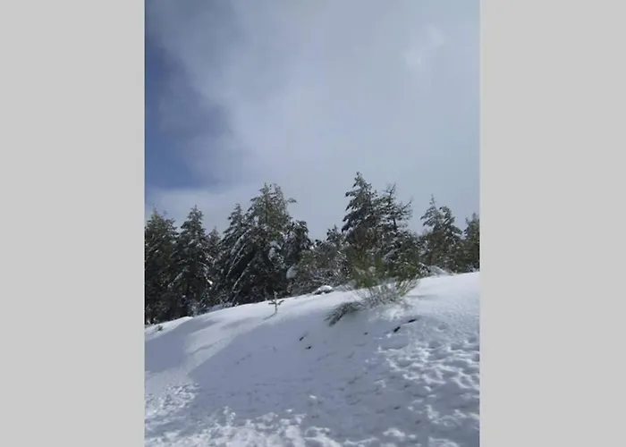 Casa Oeste Sabugueiro (Guarda)