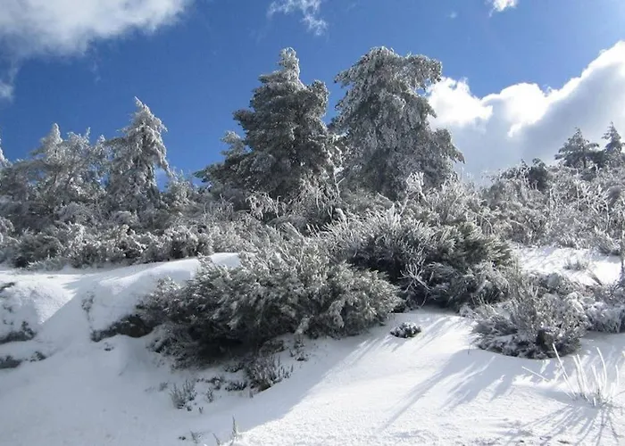 Casa Oeste * Sabugueiro (Guarda)