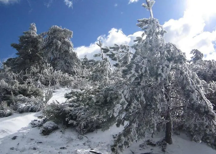 Casa Oeste * Sabugueiro (Guarda)